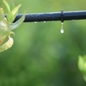 Agriculture - Drip Irrigation